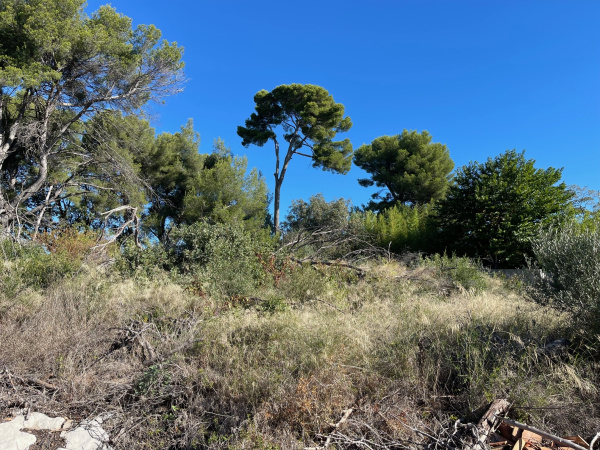 Offres de vente Terrain Marseille 13012
